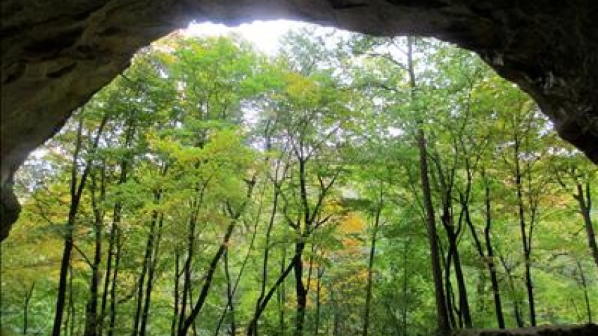 [UGCCHI-CJ-weather]Starved Rock