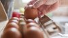 What brands of eggs are recalled, and where were they sold? What to know amid major salmonella recall